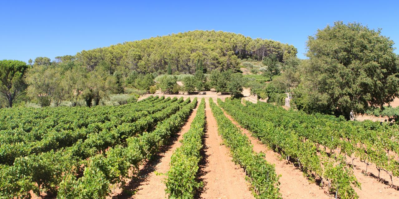 Domaine du Clos d'Alari Saint-Antonin-du-Var Exterior foto